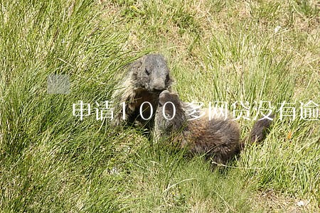申请100多网贷没有逾期