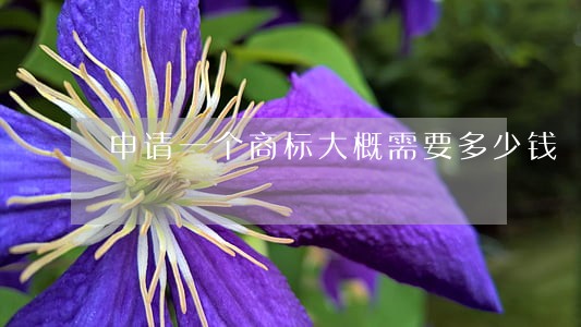 申请一个商标大概需要多少钱 申请一个商标大概需要多少钱