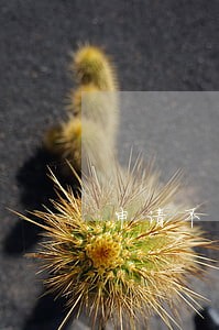申请不上征信逾期 申请不上征信逾期