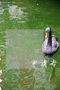 申请专利官费多少钱 申请专利官费多少钱