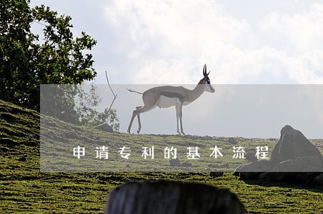 申请专利的基本流程 申请专利的基本流程
