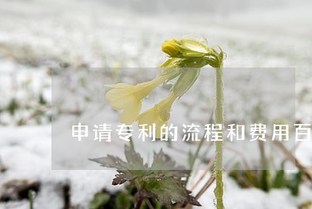 申请专利的流程和费用百度经验 申请专利的流程和费用百度经验