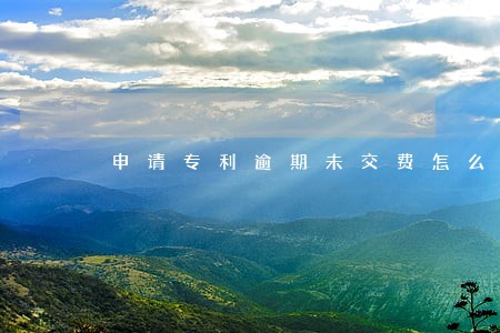 申请专利逾期未交费怎么办 申请专利逾期未交费怎么办