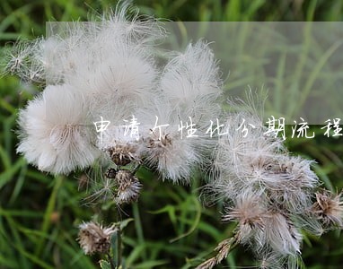 申请个性化分期流程算逾期吗 申请个性化分期流程算逾期吗