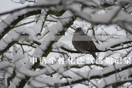申请个性化还款逾期记录能抹掉嘛 申请个性化还款逾期记录能抹掉嘛
