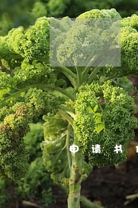 申请书伪造签字违法么 申请书伪造签字违法么