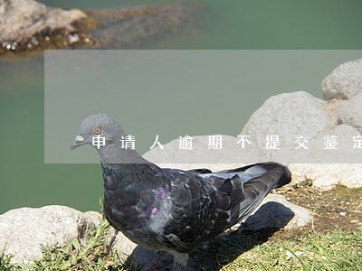 申请人逾期不提交鉴定材料 申请人逾期不提交鉴定材料