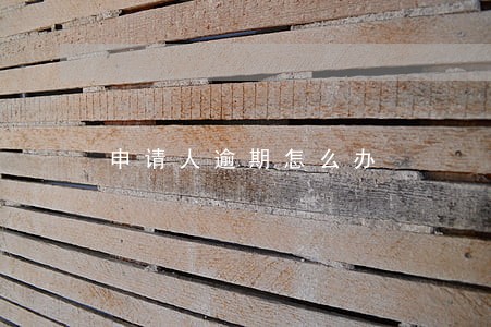 申请人逾期怎么办 申请人逾期怎么办