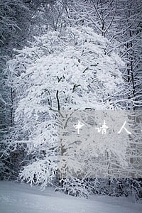 申请人逾期未确认租赁信息 申请人逾期未确认租赁信息