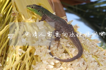 申请人需要向法院提供哪些担保 申请人需要向法院提供哪些担保