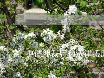 申请仲裁后有法律援助 申请仲裁后有法律援助
