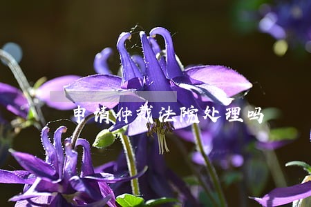申请仲裁法院处理吗 申请仲裁法院处理吗