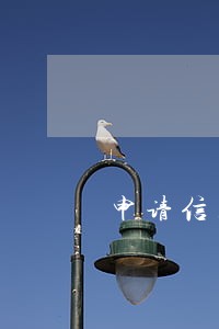 申请信用卡乱填资料逾期 申请信用卡乱填资料逾期
