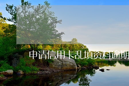 申请信用卡乱填资料逾期后果 申请信用卡乱填资料逾期后果