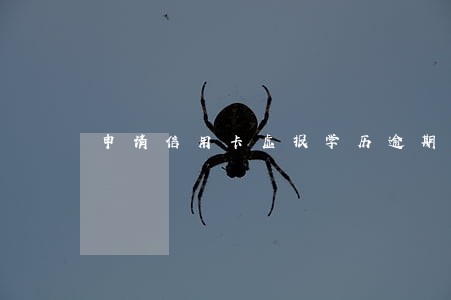申请信用卡虚报学历逾期了 申请信用卡虚报学历逾期了