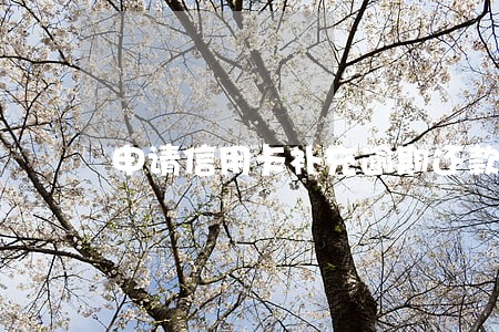 申请信用卡补充逾期还款证明资料 申请信用卡补充逾期还款证明资料