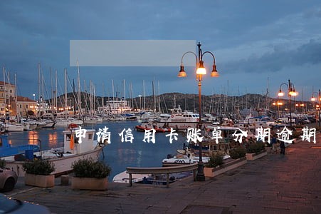 申请信用卡账单分期逾期了 申请信用卡账单分期逾期了