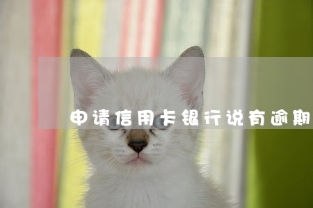 申请信用卡银行说有逾期 申请信用卡银行说有逾期