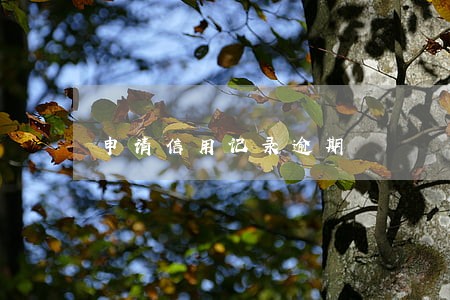 申请信用记录逾期 申请信用记录逾期
