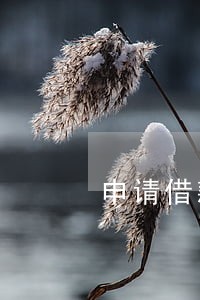 申请借款多但没逾期 申请借款多但没逾期