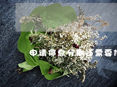 申请停息分期还需要付逾期费吗