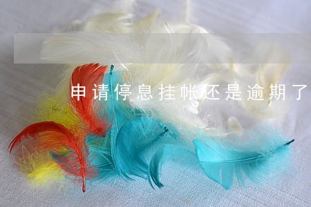 申请停息挂帐还是逾期了怎么办 申请停息挂帐还是逾期了怎么办