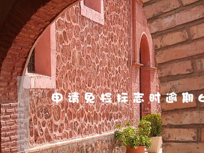 申请免检标志时逾期6个月 申请免检标志时逾期6个月