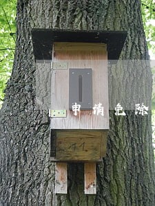 申请免除助学贷款逾期罚息 申请免除助学贷款逾期罚息
