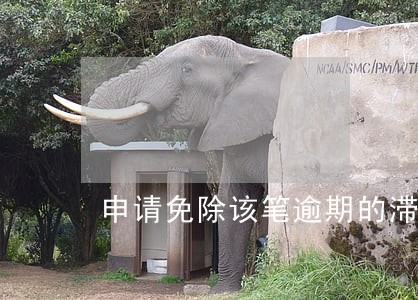 申请免除该笔逾期的滞纳金 申请免除该笔逾期的滞纳金
