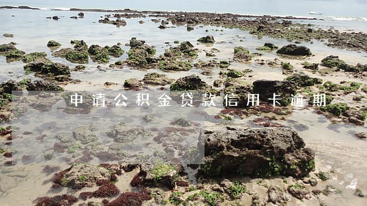 申请公积金贷款信用卡逾期