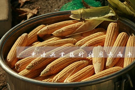 申请兴业银行信用卡两年前有逾期 申请兴业银行信用卡两年前有逾期