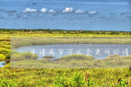 申请再审可以变更诉讼请求吗 申请再审可以变更诉讼请求吗