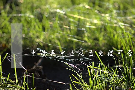 申请再审法院已受理可否撤诉 申请再审法院已受理可否撤诉