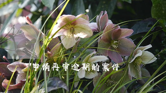 申请再审逾期的案件 申请再审逾期的案件