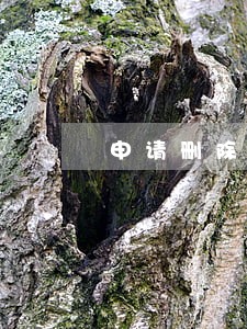 申请删除逾期记录怎么办 申请删除逾期记录怎么办