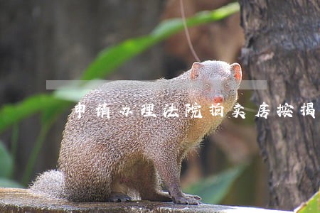 申请办理法院拍卖房按揭贷款