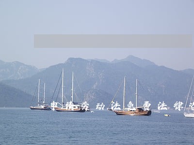 申请劳动法免费法律咨询