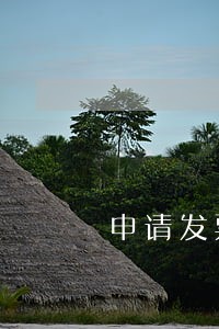 申请发票显示纳税人存在逾期未