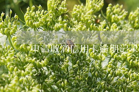 申请取消信用卡逾期记录 申请取消信用卡逾期记录
