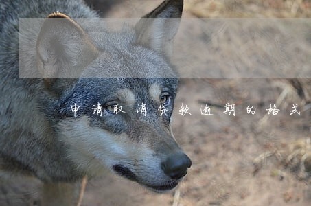 申请取消贷款逾期的格式 申请取消贷款逾期的格式