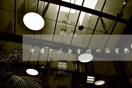 申请只还本金对以后有影响吗 申请只还本金对以后有影响吗