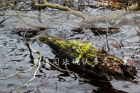 申请司法确认多久立案 申请司法确认多久立案