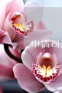 申请司法确认的条件 申请司法确认的条件