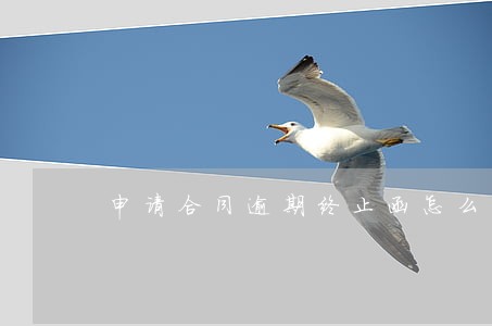 申请合同逾期终止函怎么写 申请合同逾期终止函怎么写