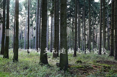 申请多无逾期怎么贷款 申请多无逾期怎么贷款
