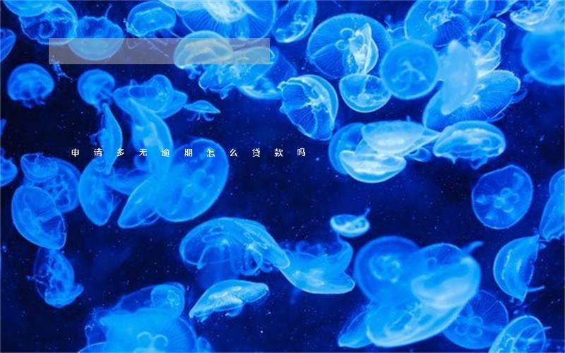 申请多无逾期怎么贷款吗 申请多无逾期怎么贷款吗