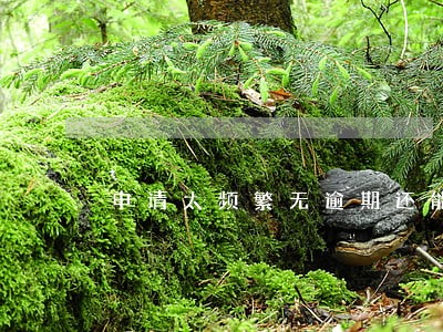 申请太频繁无逾期还能贷什么款 申请太频繁无逾期还能贷什么款