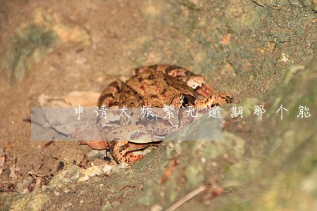 申请太频繁无逾期那个能申请 申请太频繁无逾期那个能申请