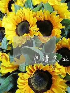 申请失业保险逾期 申请失业保险逾期