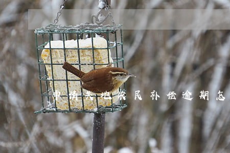 申请失地农民补偿逾期怎么处理 申请失地农民补偿逾期怎么处理